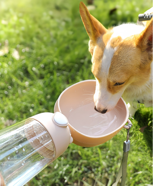 Portable Dog Water Bottle with Food Dispenser