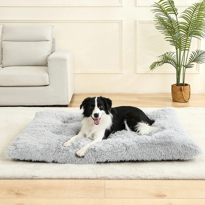 Cozy Plush Dog Bed - Various Sizes