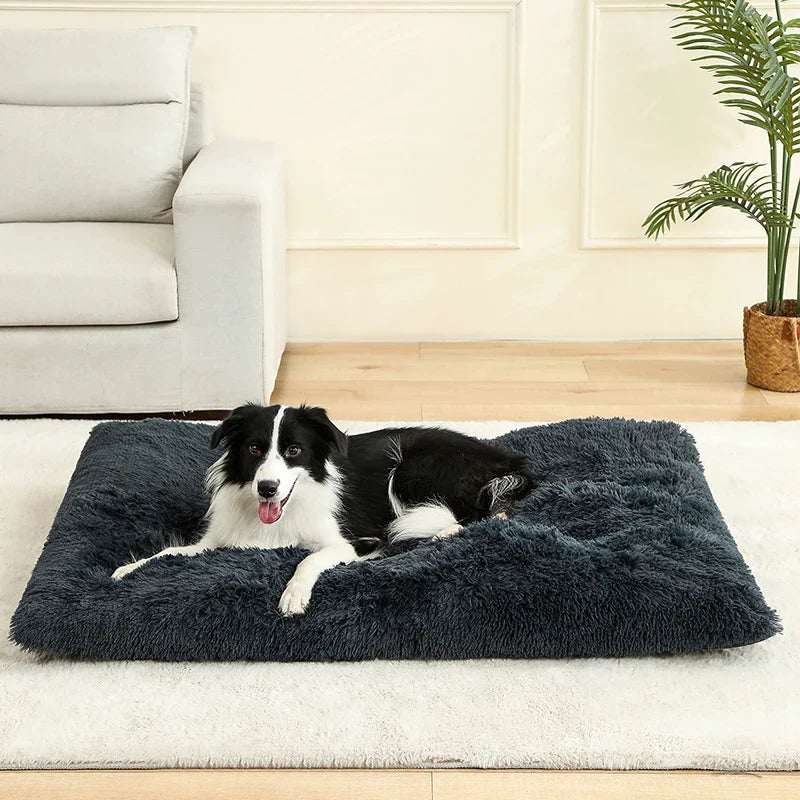 Cozy Plush Dog Bed - Various Sizes