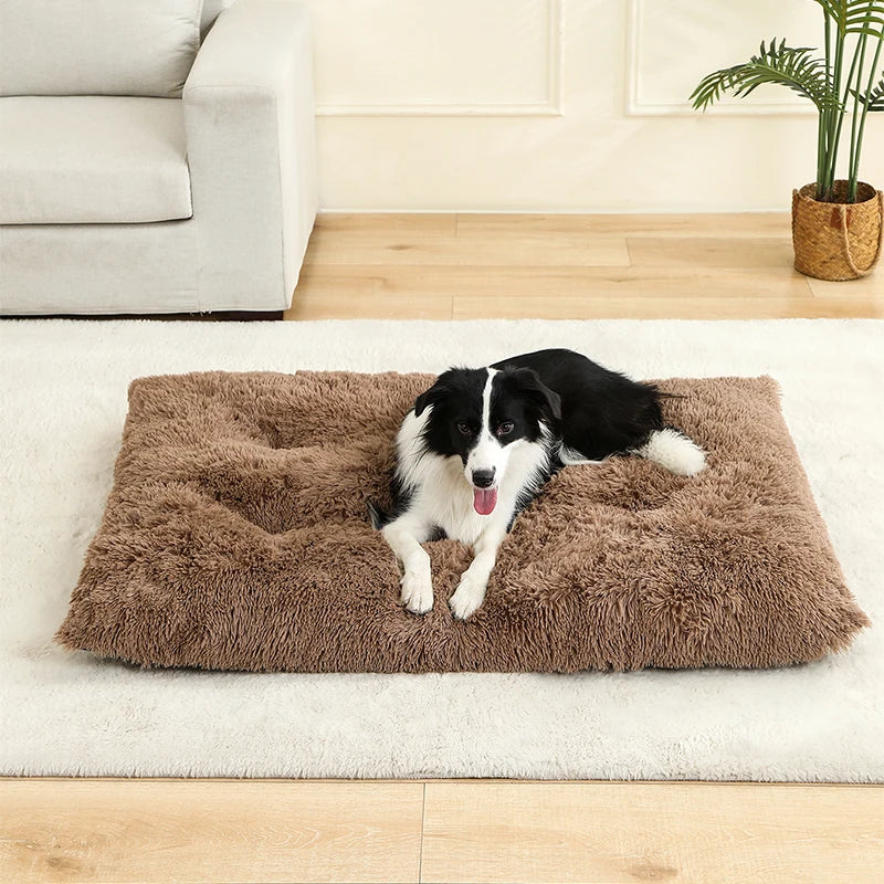 Cozy Plush Dog Bed - Various Sizes