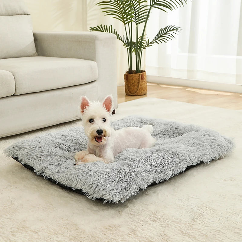 Cozy Plush Dog Bed - Various Sizes